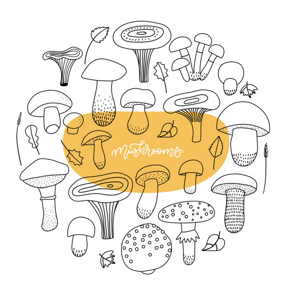 蘑菇直线剪辑艺术集秋的心情孤立图片下载