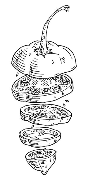 飞舞的新鲜辣椒片。复古雕刻黑m图片下载