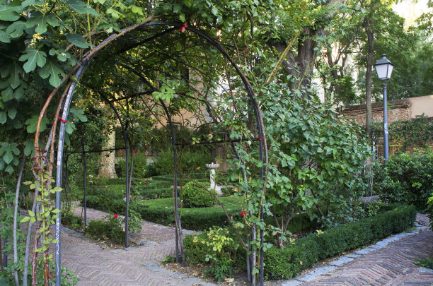 有喷泉和鲜花的小公园图片下载