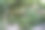 有喷泉和鲜花的小公园图片下载