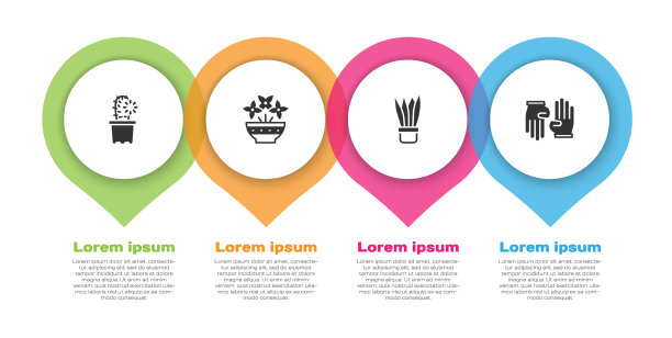 将仙人掌佩奥特放在花盆花瓶植物中图片下载