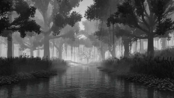 令人毛骨悚然的神秘森林黑白风景图片下载