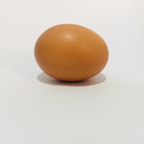 一个鸡蛋。图片下载