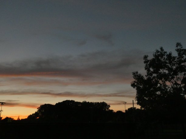 树木上方戏剧性的黑暗天空图片下载