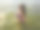年轻漂亮的女人穿着泳衣，戴着太阳镜在水里图片下载