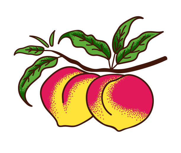 成熟的桃子在树枝上，叶子孤立在上面图片下载