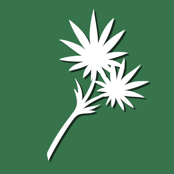 装饰植物元素图片下载