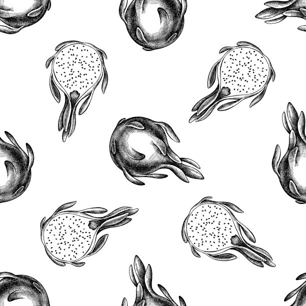 无缝图案与黑白火龙果图片下载