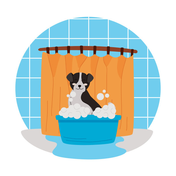 可爱的宠物洗澡图片下载