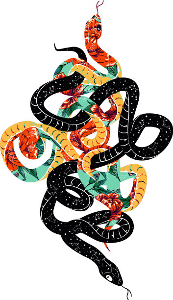 蛇纹身艺术手绘和素描黑色图片下载