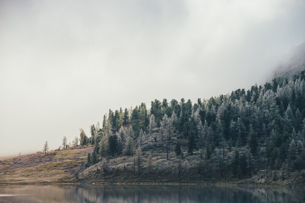 萧瑟的秋天景观与山湖和针叶林与树木白霜山坡在厚低云。秋天浓雾中山上白霜落叶松的大气景观。图片下载