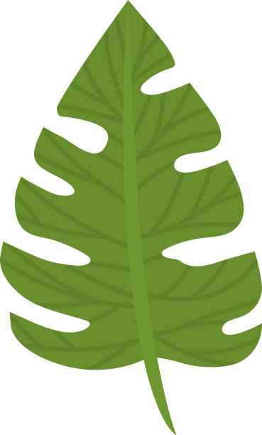 漂亮的蓬莱蕉设计图片下载