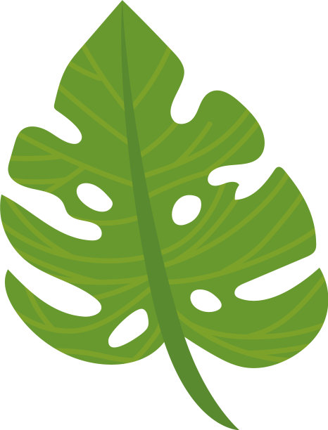 美少女monstera图片下载