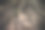 阴森神秘的森林。粗糙的树根图片下载