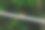 射中附近的红蚂蚁，爬上绳子。绳子上的蚂蚁模糊了背景。红蚂蚁在绳子上收集水。图片下载
