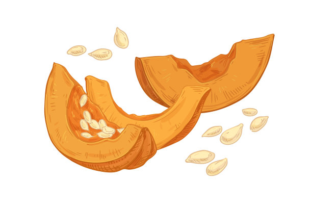 秋季构图鲜生南瓜片图片下载