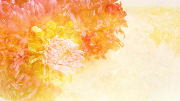 花的抽象图片下载