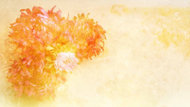 花的抽象图片下载