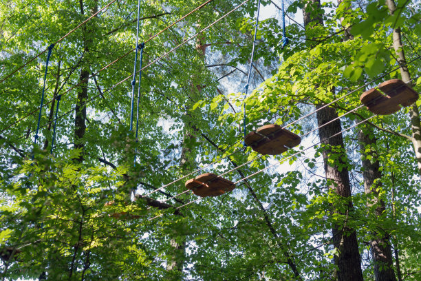 绳索公园的障碍物碎片在树叶的高度。户外活动。在树叶间冒险。图片下载