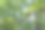 绳索公园的障碍物碎片在树叶的高度。户外活动。在树叶间冒险。图片下载