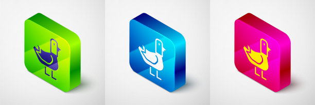 等距鸽子图标孤立的灰色背景。方形按钮。向量图片下载