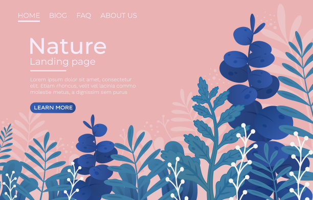 植被自然登陆热带森林图片下载