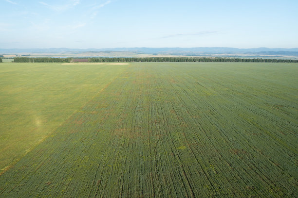 以上是绿色农业领域的观点图片下载