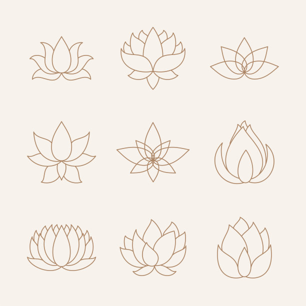 一套莲花。矢量插图。图片下载