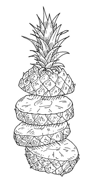 飞起的新鲜菠萝。复古版画黑色单色插图。图片下载