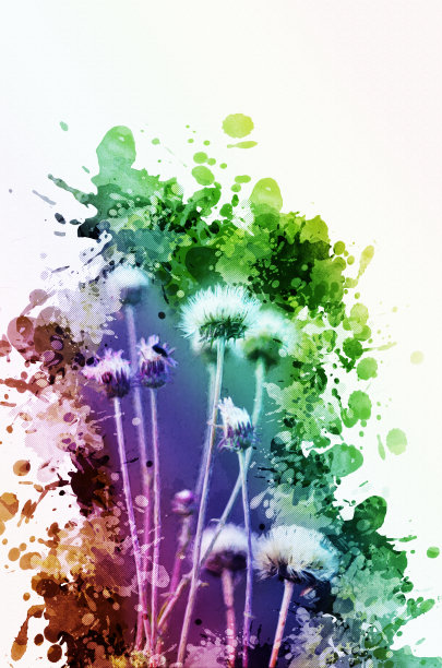 在偶尔的水滴和飞溅中，野草的干花图片下载