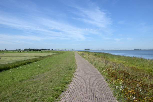 空空的自行车道去荷兰的马克图片下载