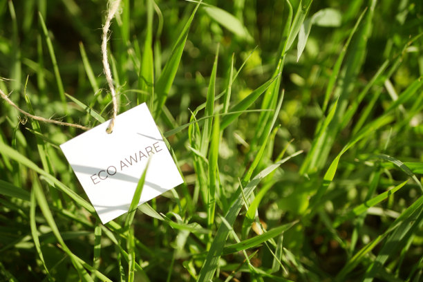 环保标签躺在绿色的草地上图片下载