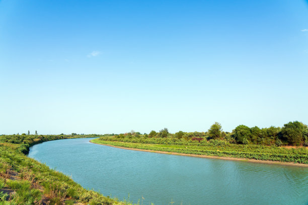 河床上绿树成荫图片下载