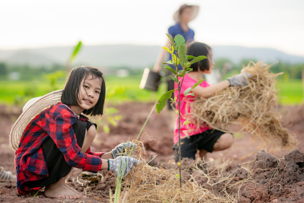 农村的孩子们在花园里种树图片下载