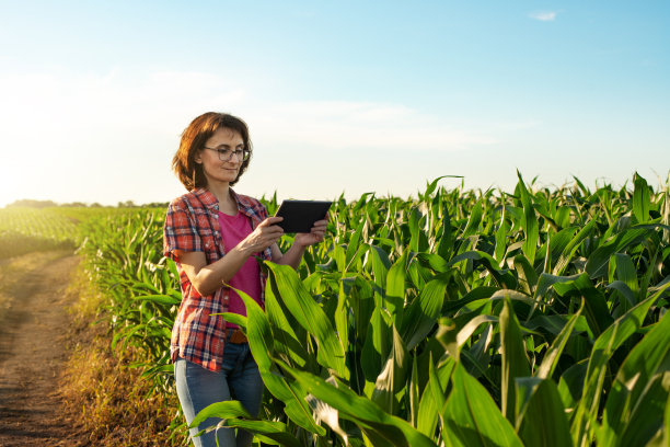 乌克兰中年白人女性农场工人在玉米地里使用平板电脑图片下载