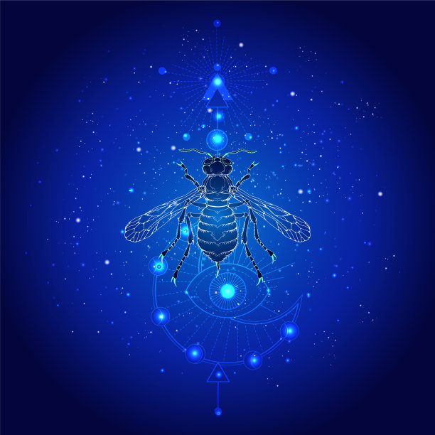 抽象图案全帧拍摄图片下载