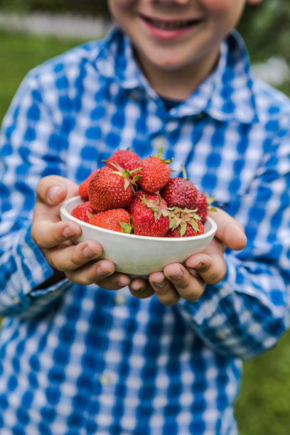 阳光明媚的夏日，孩子们在果园里摘草莓。孩子们手里拿着新鲜成熟的有机草莓图片下载