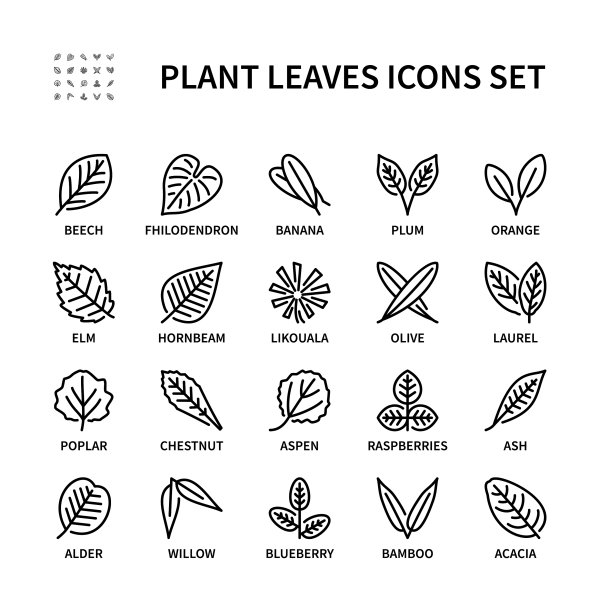 叶不同的植物线性图标集图片下载
