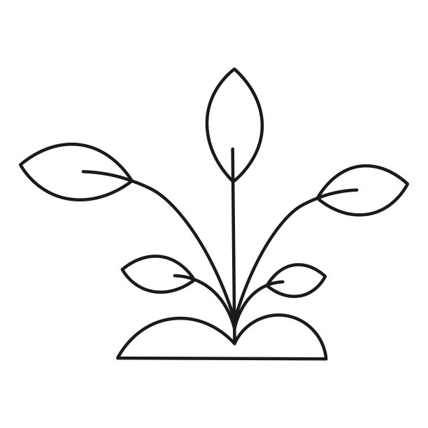 室内植物发芽灌木生态标志孤立图片下载