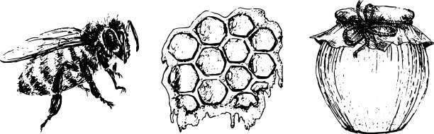 蜂蜜集复古手绘雕刻有机图片下载