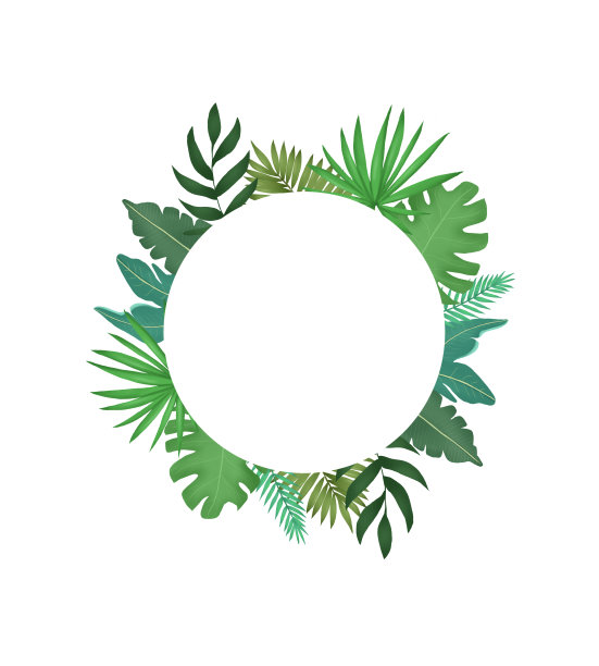 一套热带叶子异国的自然叶子植物周围的世界图片下载