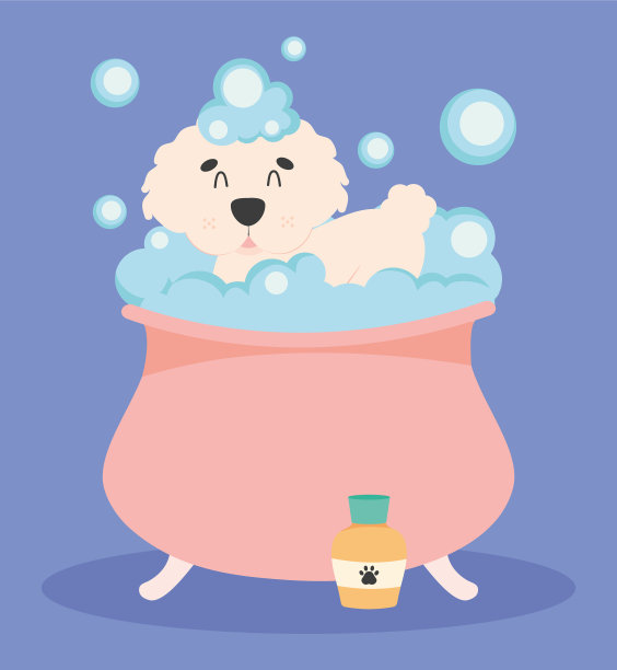 贵宾犬的狗洗澡图片下载