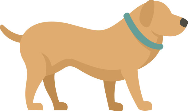 家犬训练图标平坦孤立图片下载