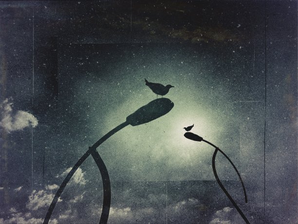 海鸥在路灯上的多重曝光视图。图片下载