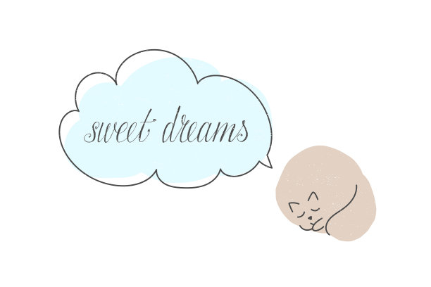 一只可爱的猫睡觉，做着甜甜的梦图片下载