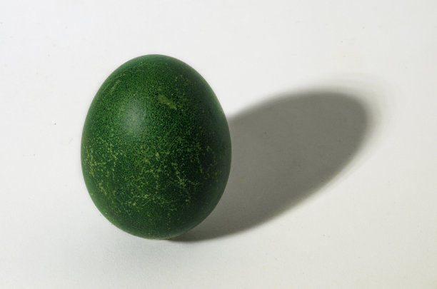 带有阴影效果的彩色蛋图片下载