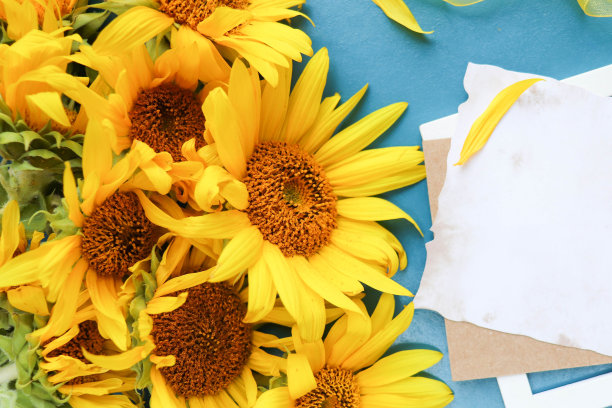 明信片模型图片下载