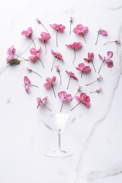 静物与粉红色美丽柔软的花朵和双门香槟杯，选择性聚焦，柔和的颜色。白色大理石纹理背景。花从玻璃里跳了出来图片下载