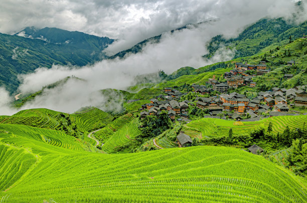 中国广西桂林龙吉梯田图片下载