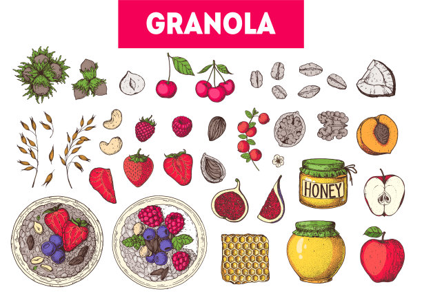 燕麦成分说明。燕麦片，浆果，水果和坚果手绘。格兰诺拉麦片早餐。什锦食品菜单设计。手绘矢量插图。格兰诺拉麦片设计。图片下载